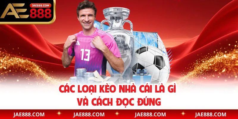 Các loại kèo nhà cái là gì và cách đọc đúng