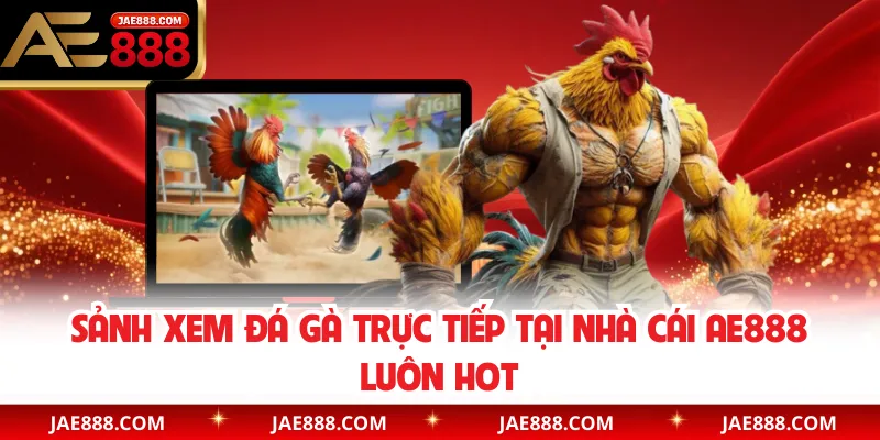 Sảnh xem đá gà trực tiếp tại nhà cái AE888 luôn hot